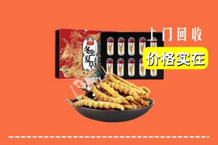 绵阳市江油回收冬虫夏草