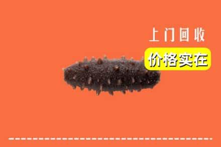 绵阳市江油回收海参